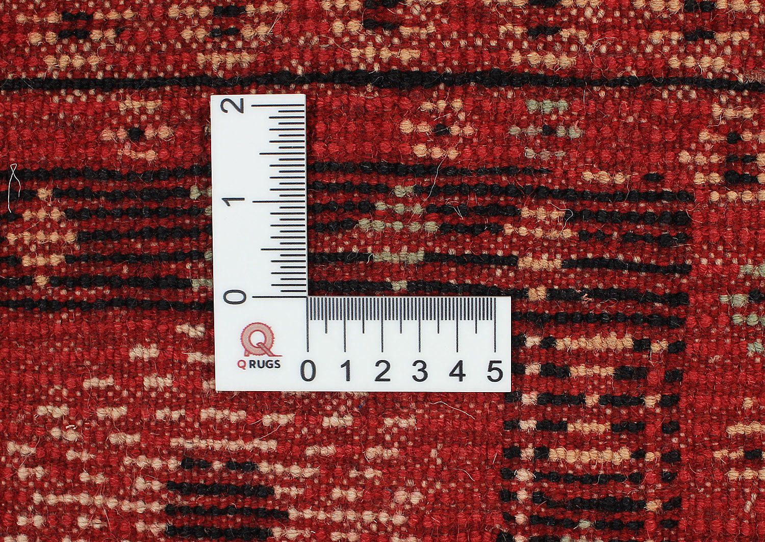 SHINDANDI BALUCHI