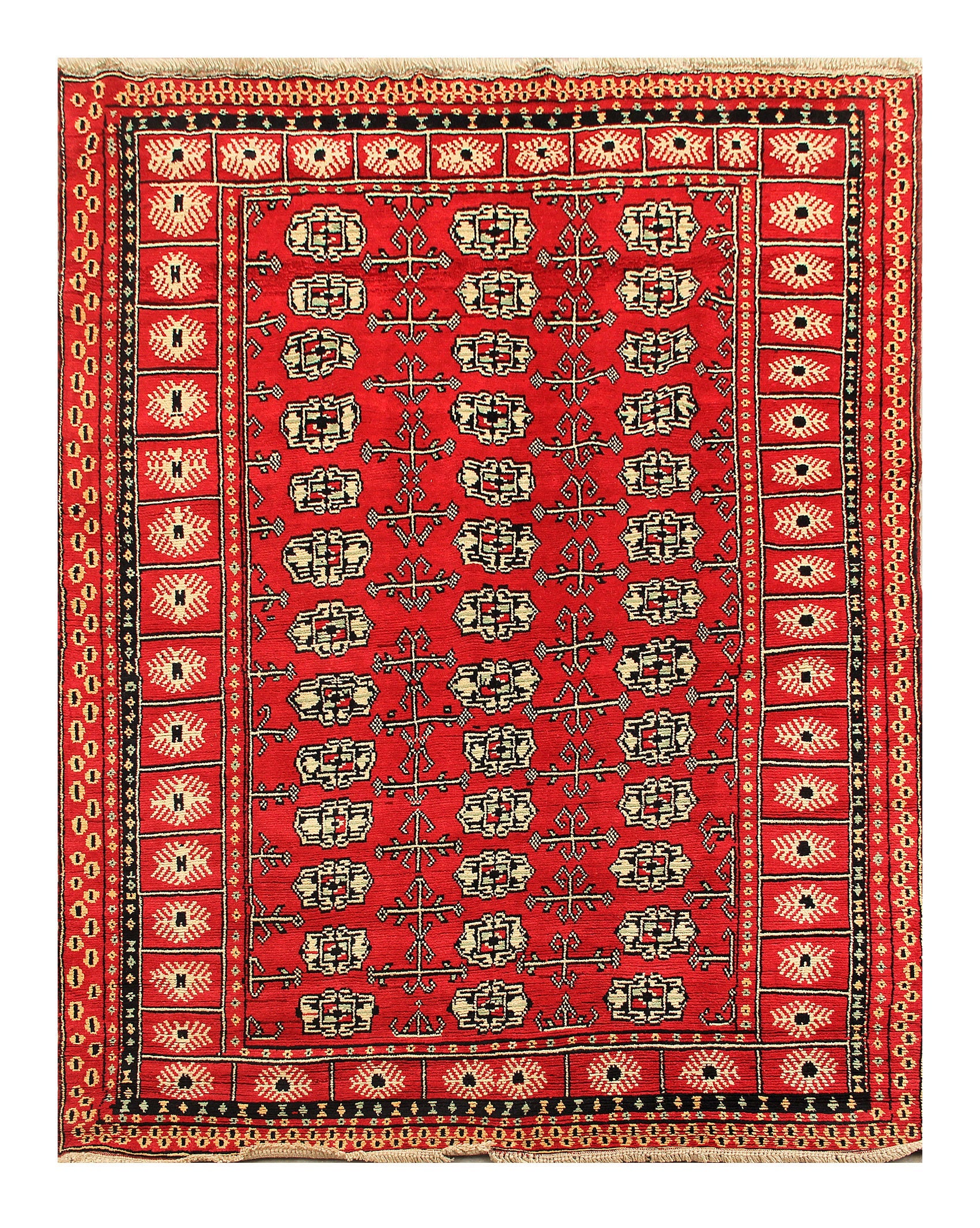 SHINDANDI BALUCHI