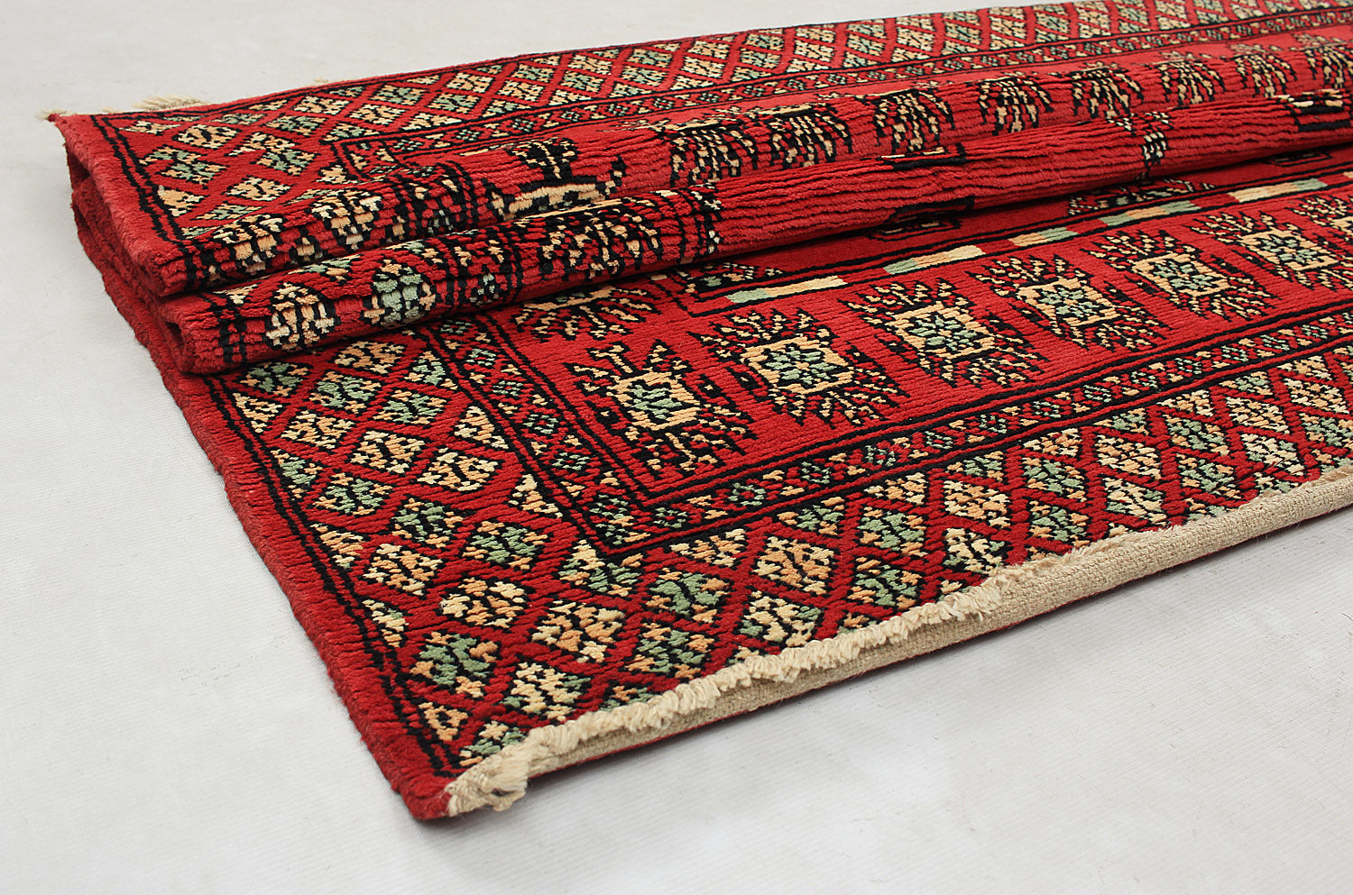 SHINDANDI BALUCHI