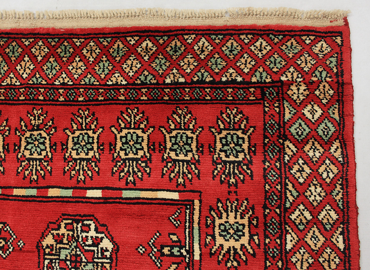 SHINDANDI BALUCHI