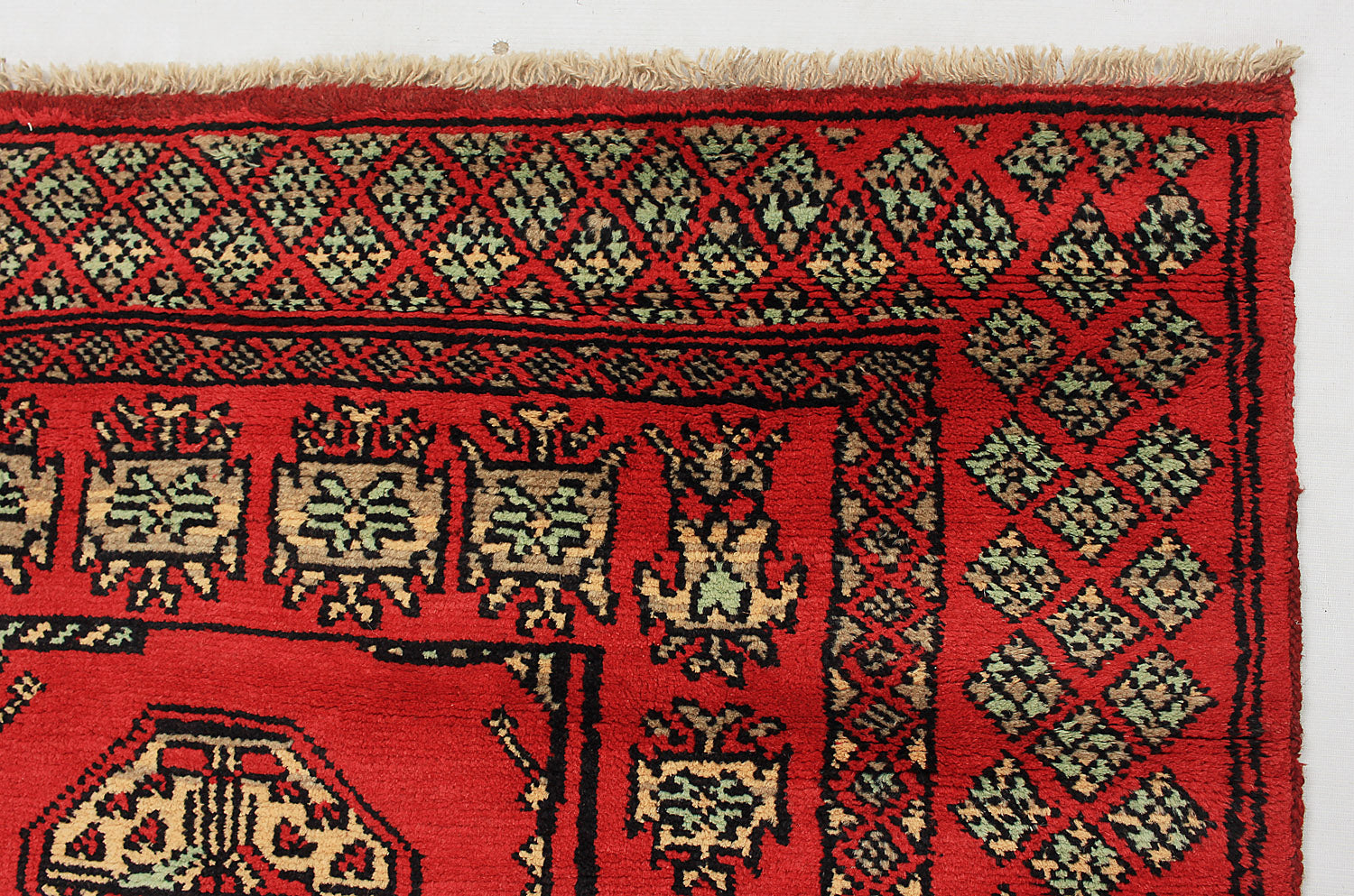 SHINDANDI BALUCHI
