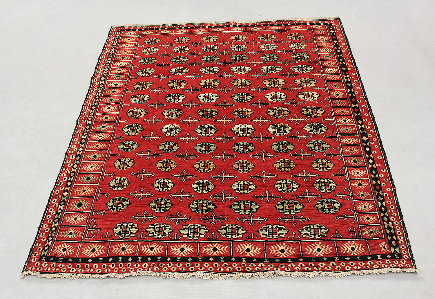 SHINDANDI BALUCHI