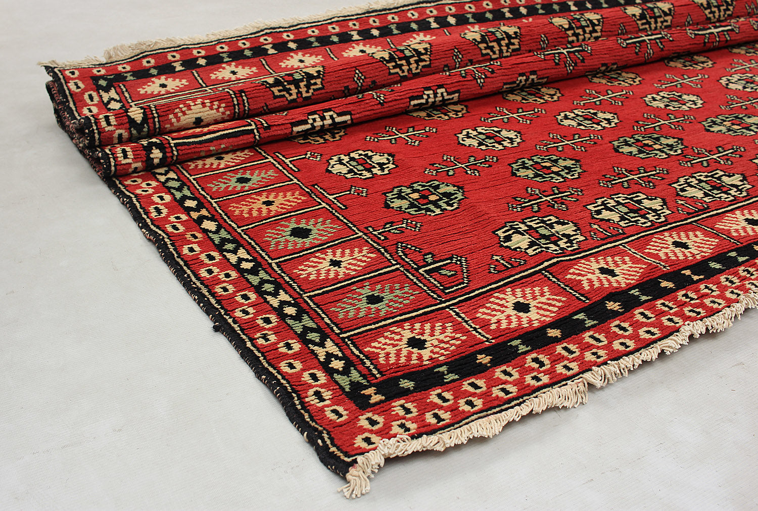 SHINDANDI BALUCHI