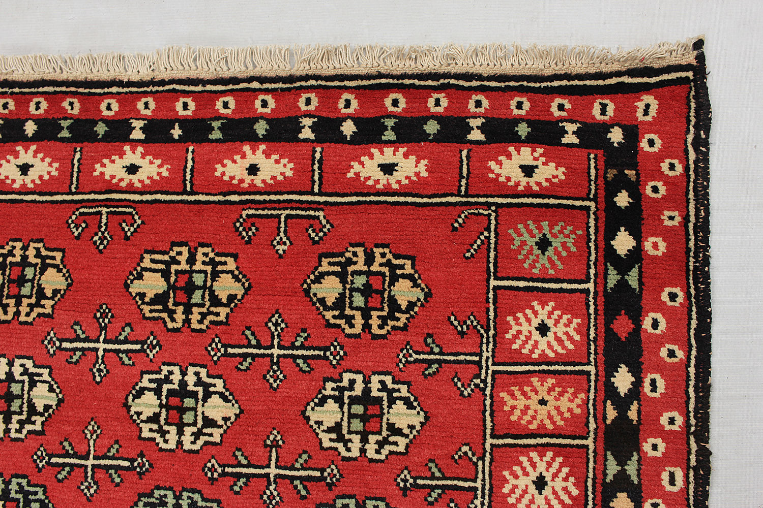 SHINDANDI BALUCHI