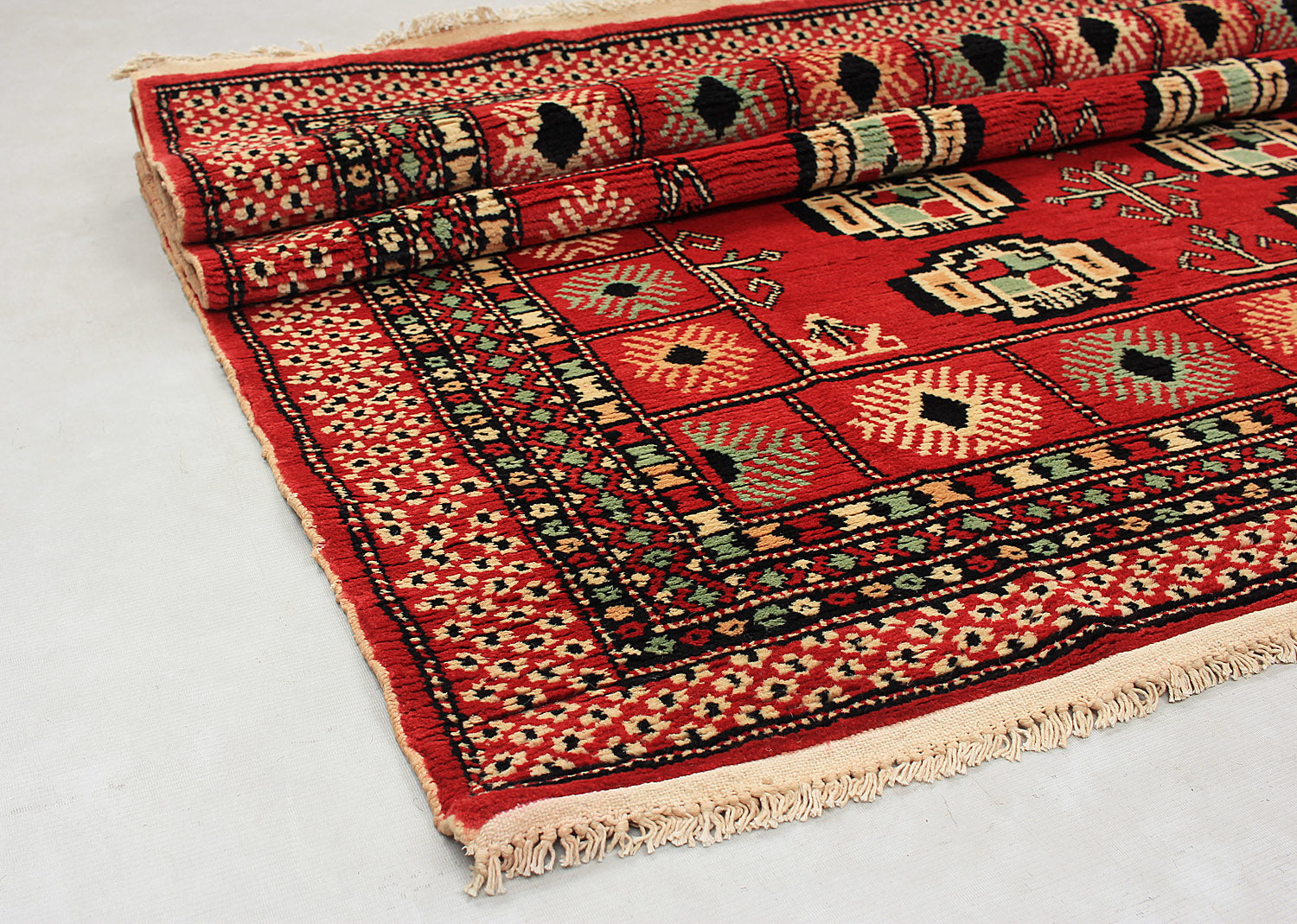 SHINDANDI BALUCHI