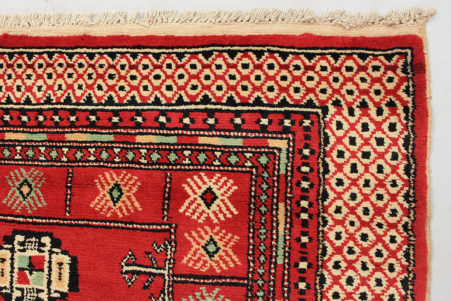 SHINDANDI BALUCHI