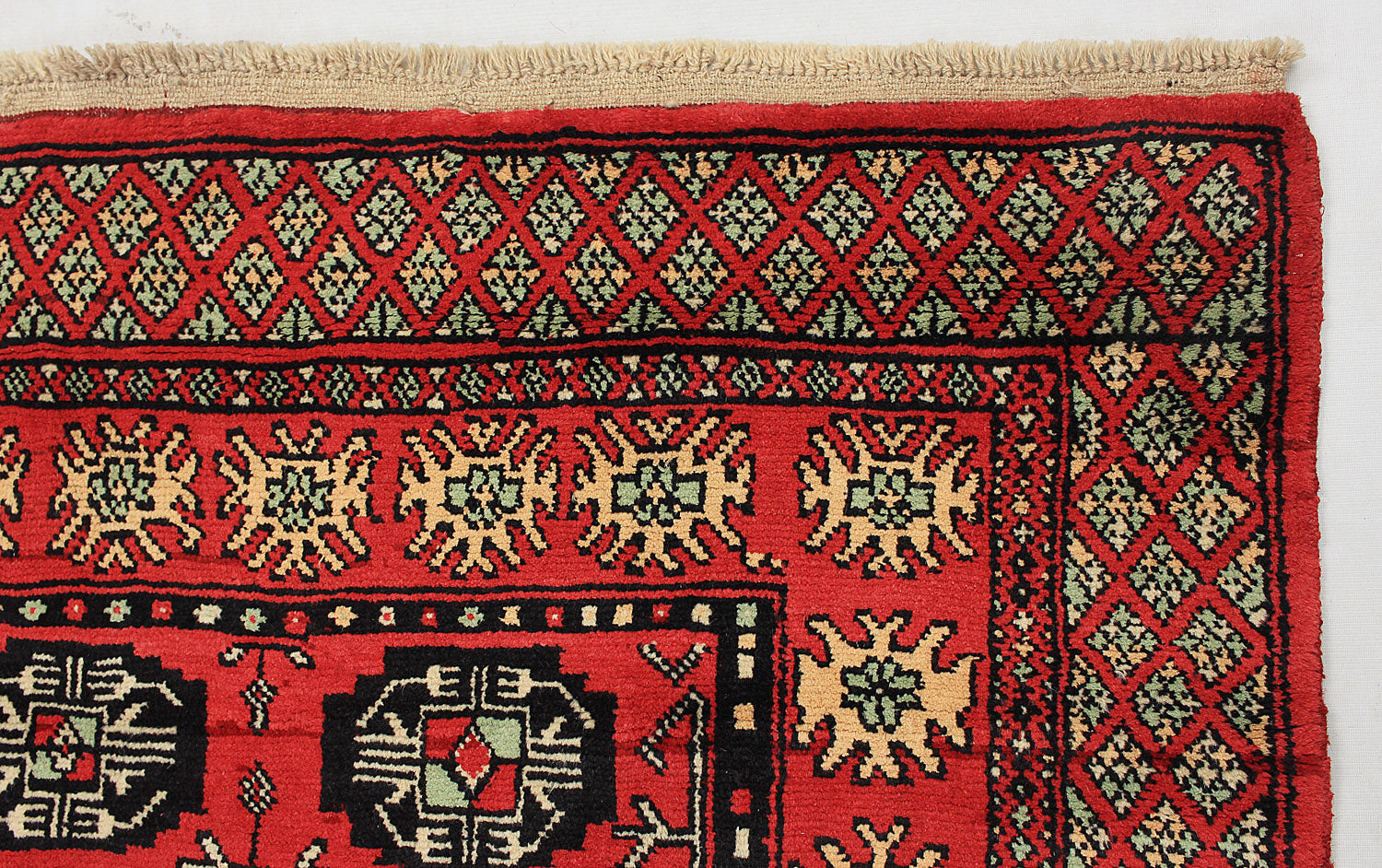 SHINDANDI BALUCHI