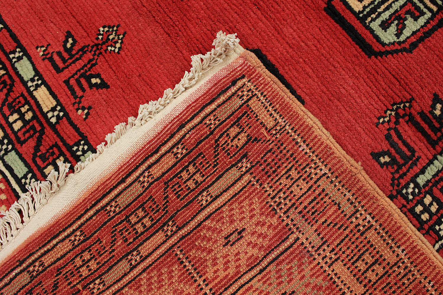 SHINDANDI BALUCHI