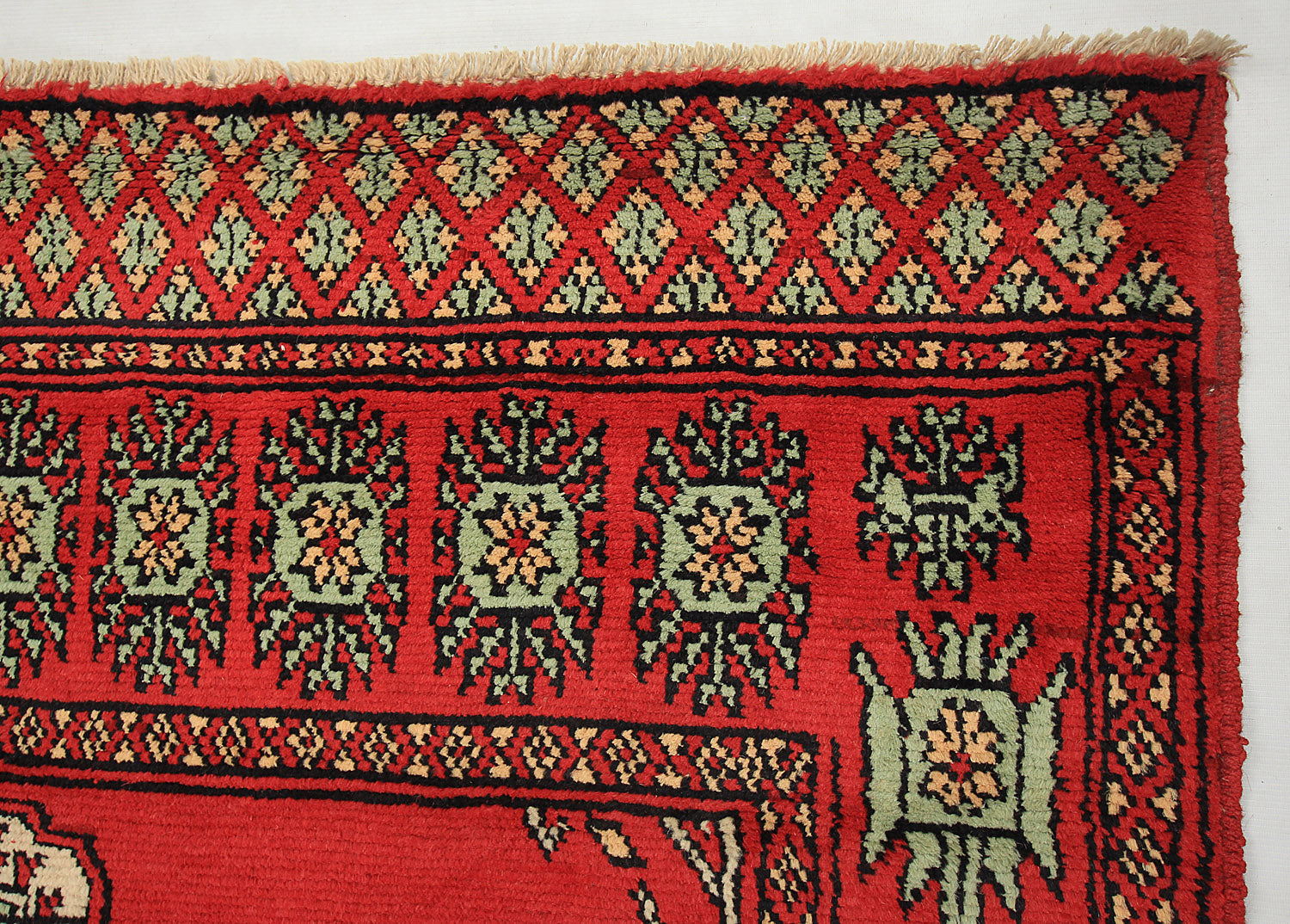 SHINDANDI BALUCHI