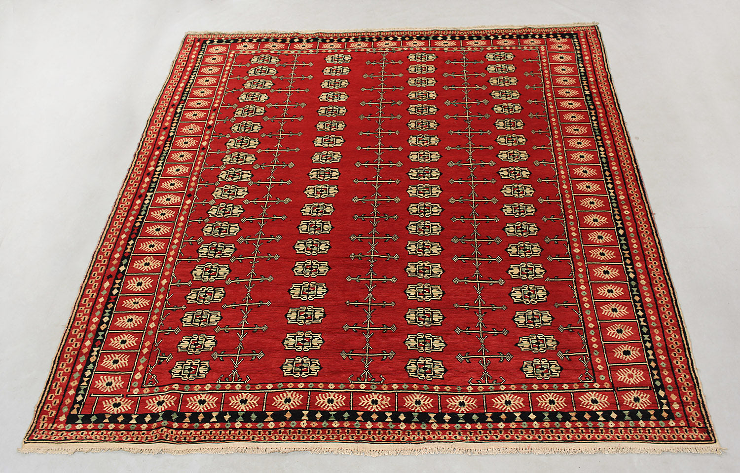 SHINDANDI BALUCHI