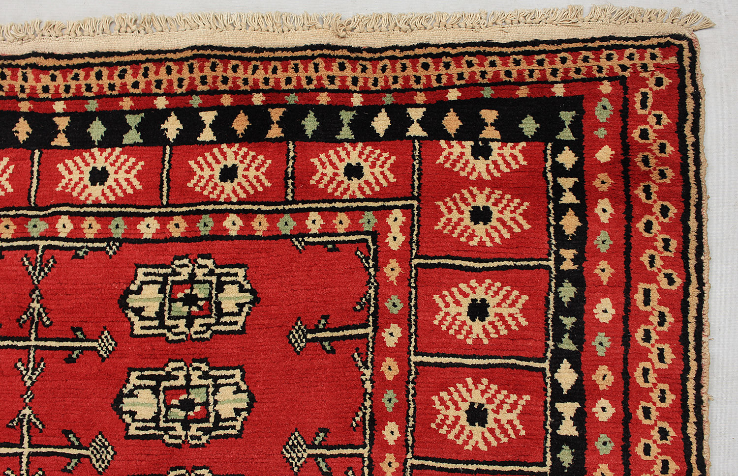 SHINDANDI BALUCHI