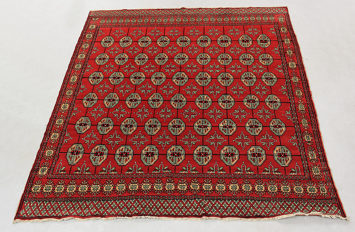 SHINDANDI BALUCHI