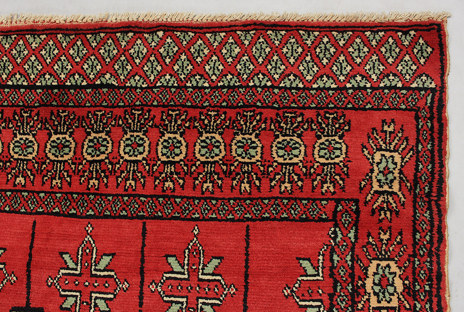 SHINDANDI BALUCHI