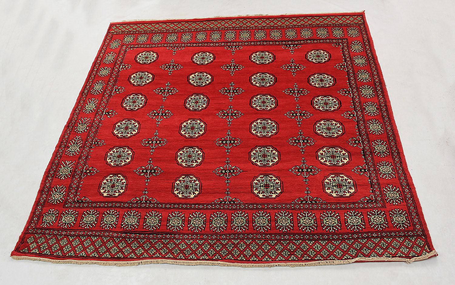SHINDANDI BALUCHI