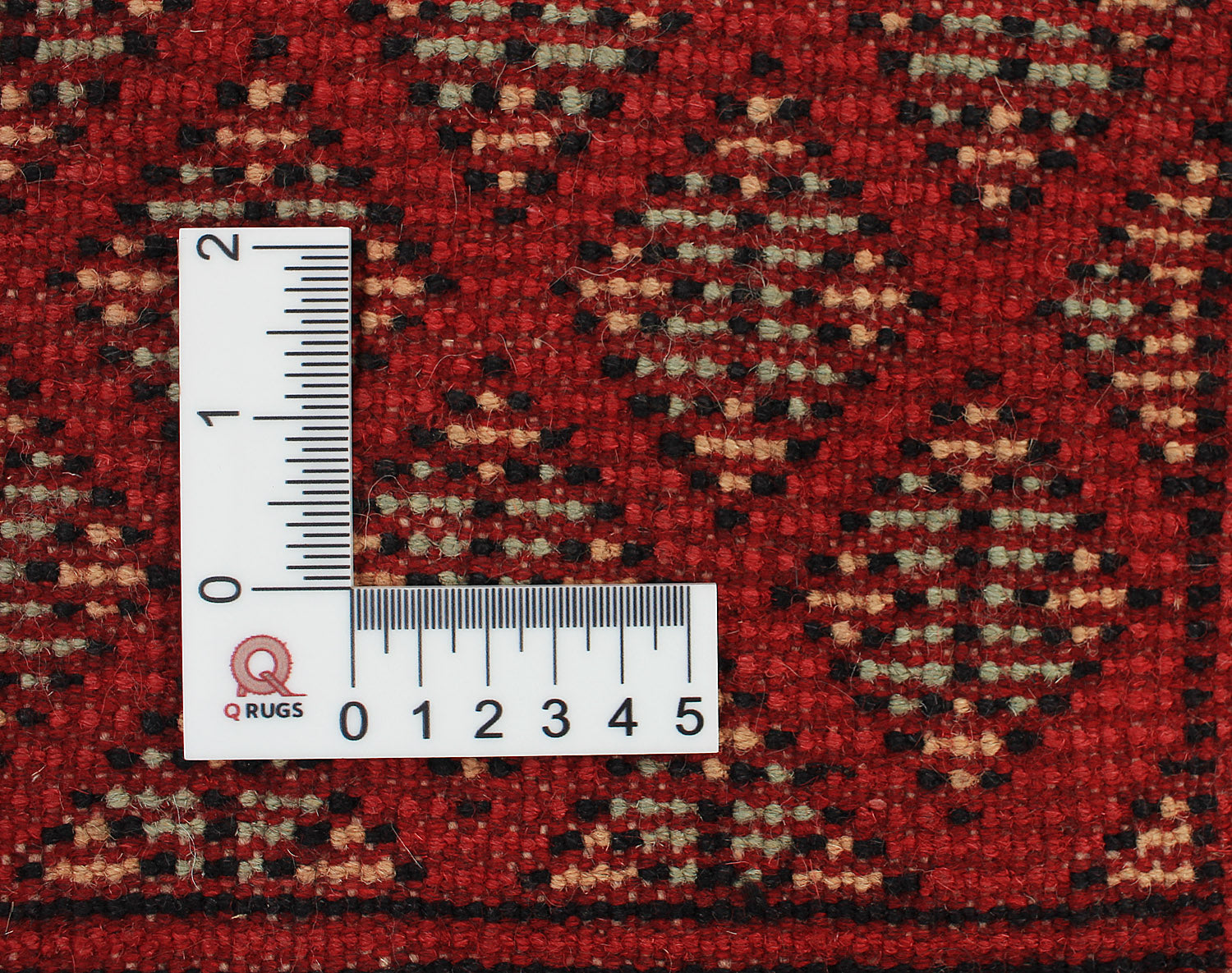SHINDANDI BALUCHI