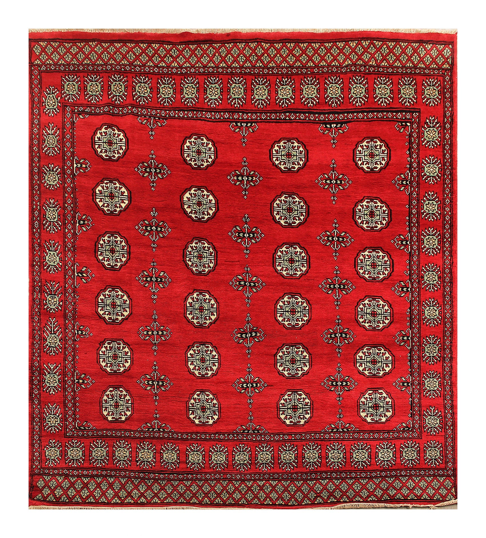 SHINDANDI BALUCHI