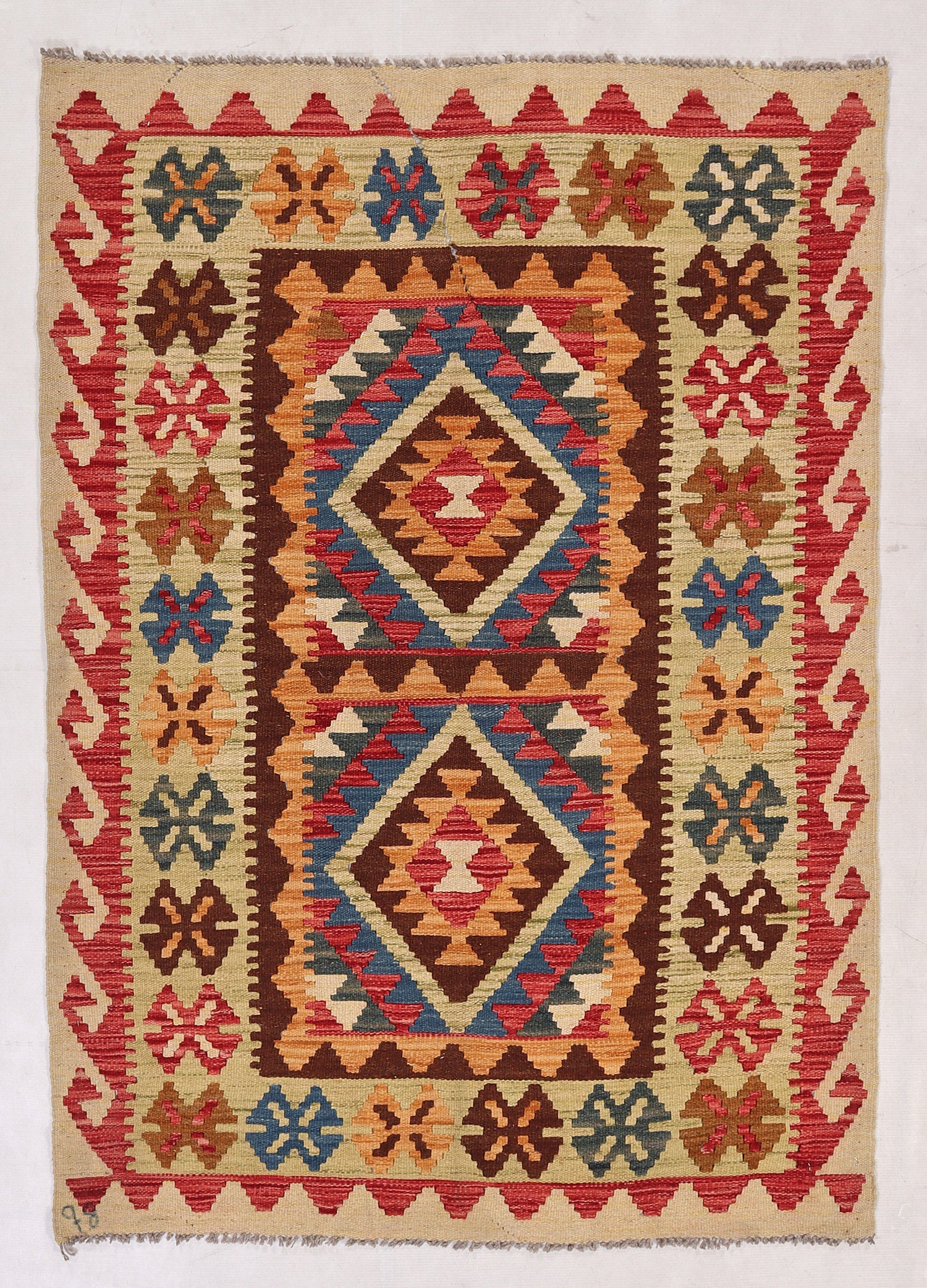 3' X 5'  Multy Handmade Veggie Dye Kilim Rug Rectangular
