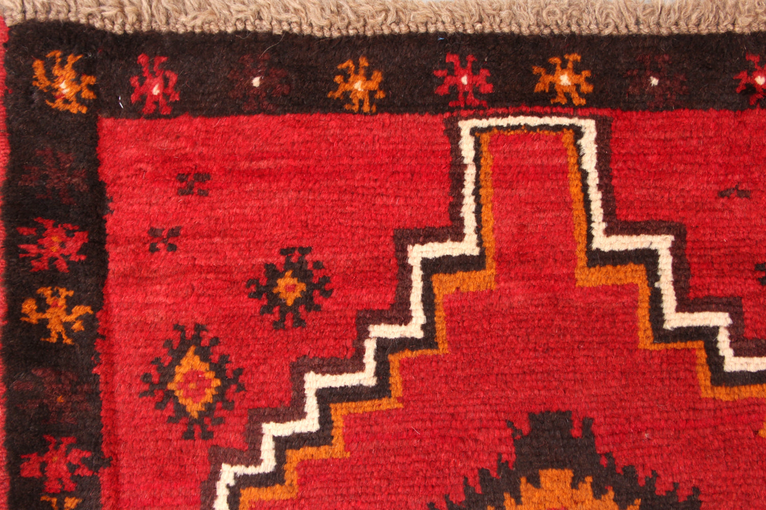 SHINDANDI BALUCHI