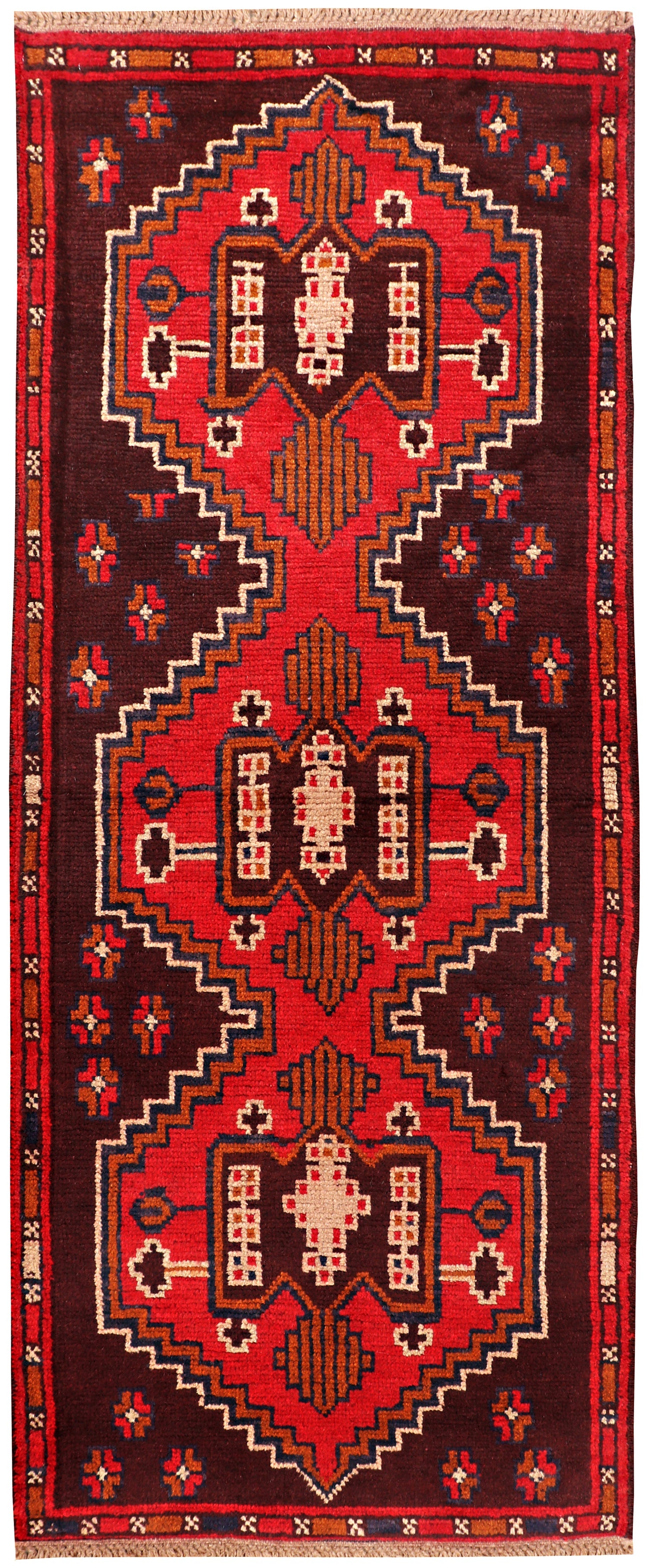 SHINDANDI BALUCHI