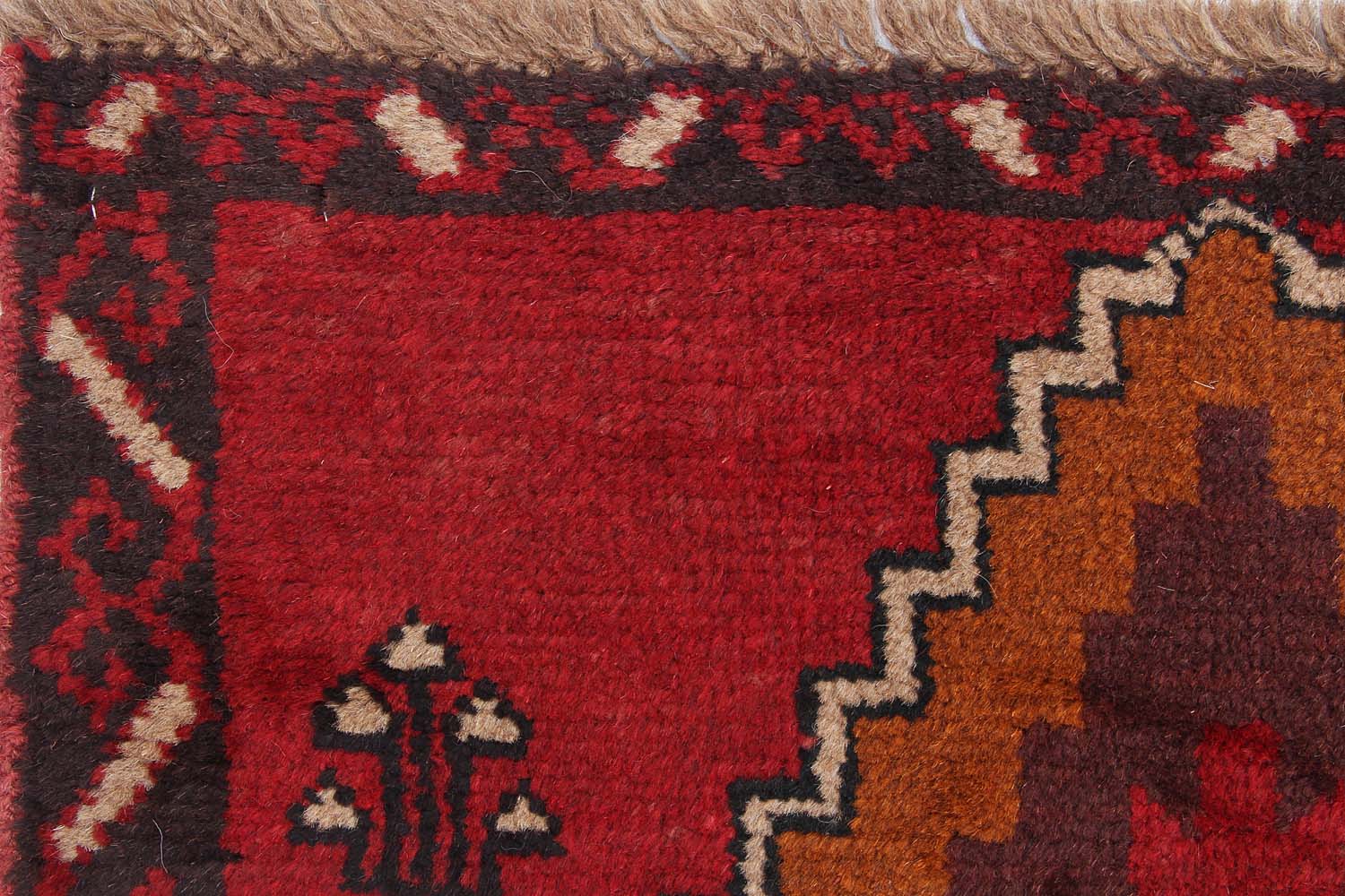 SHINDANDI BALUCHI