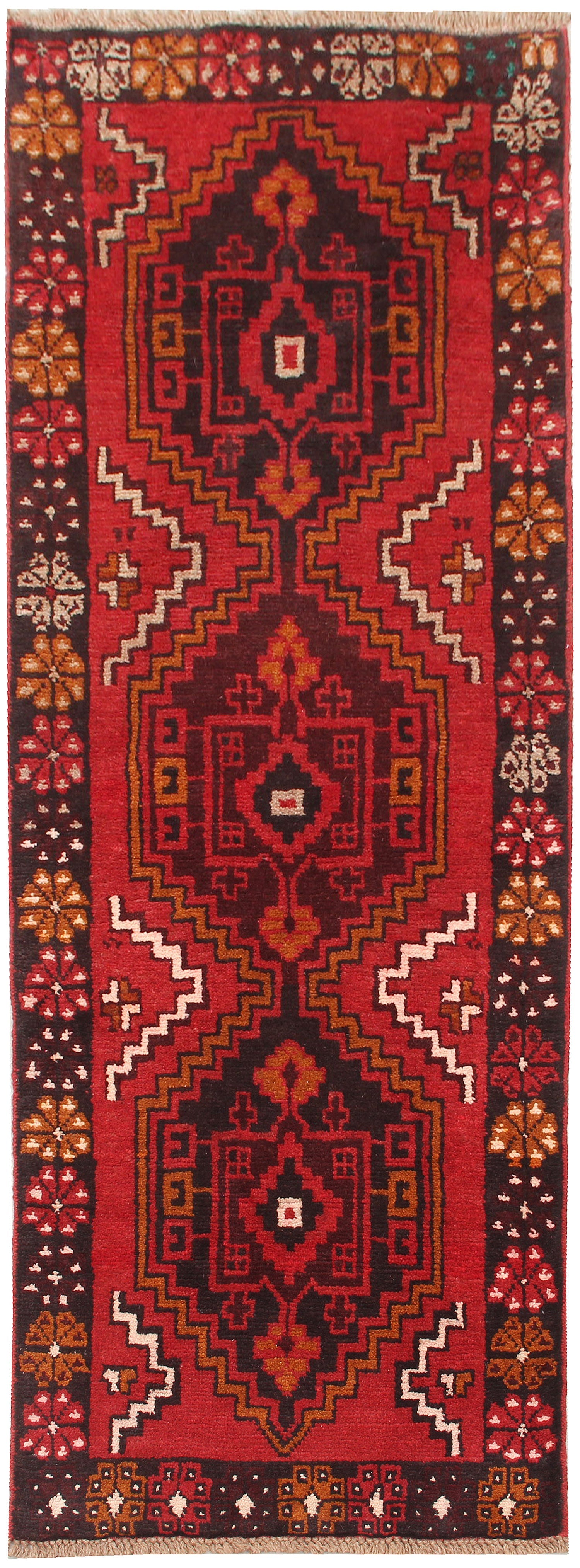 SHINDANDI BALUCHI
