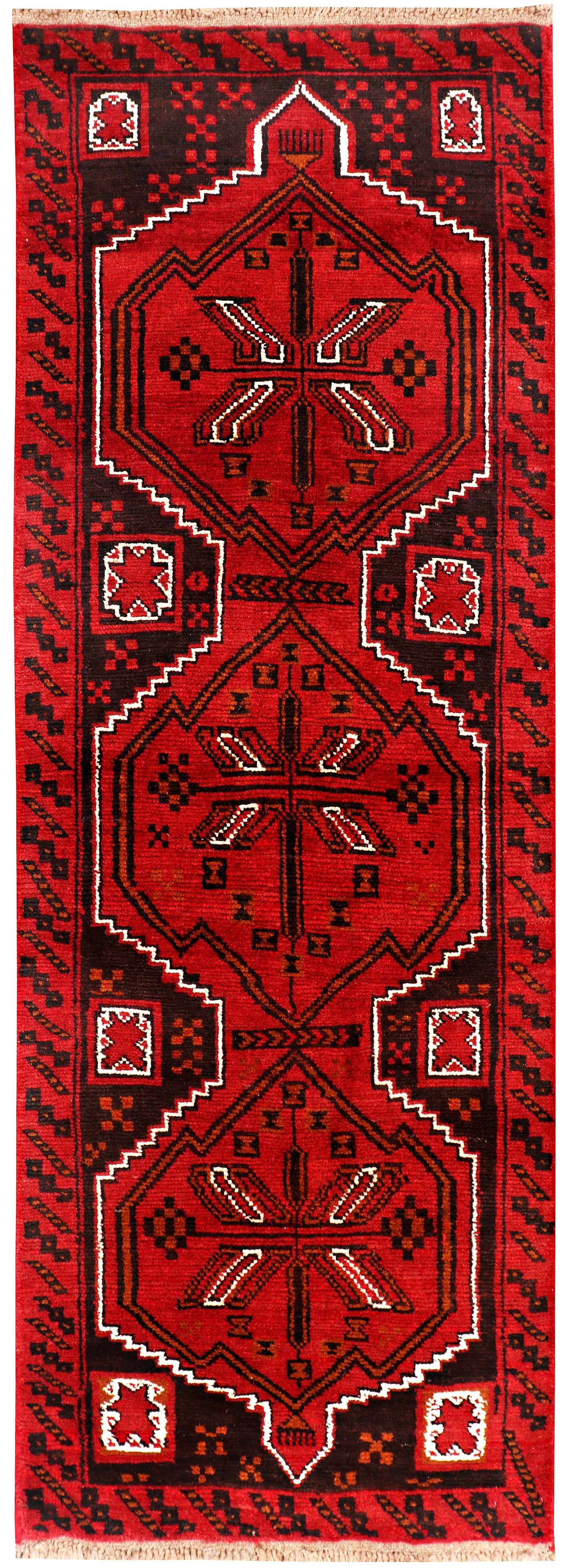 SHINDANDI BALUCHI