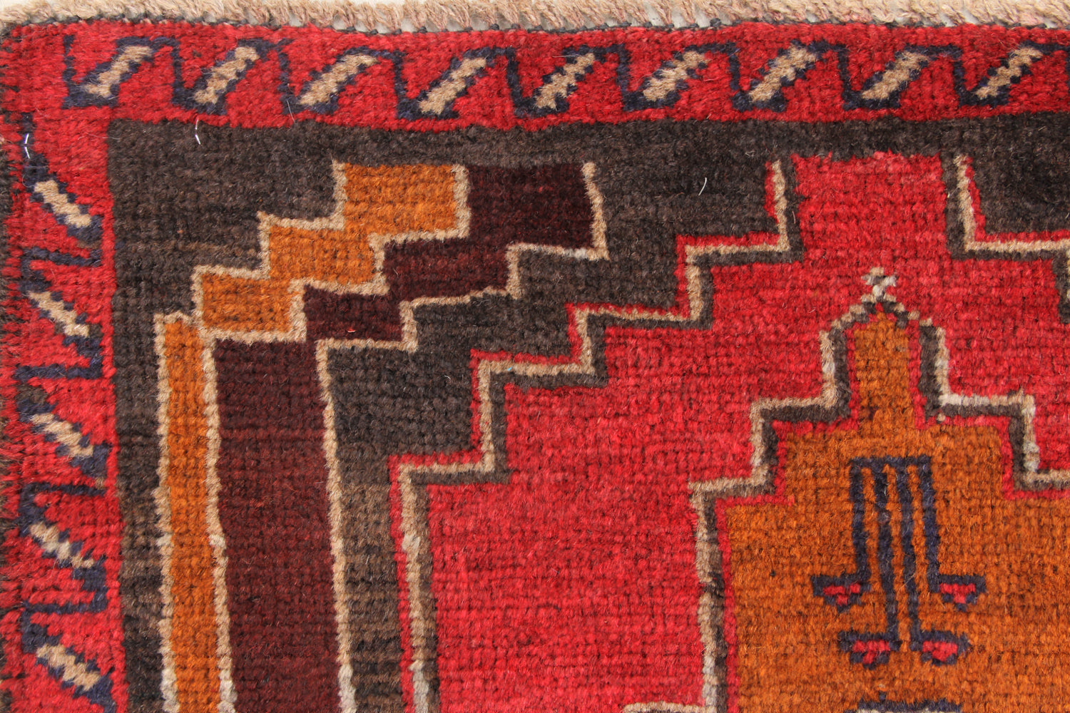 SHINDANDI BALUCHI