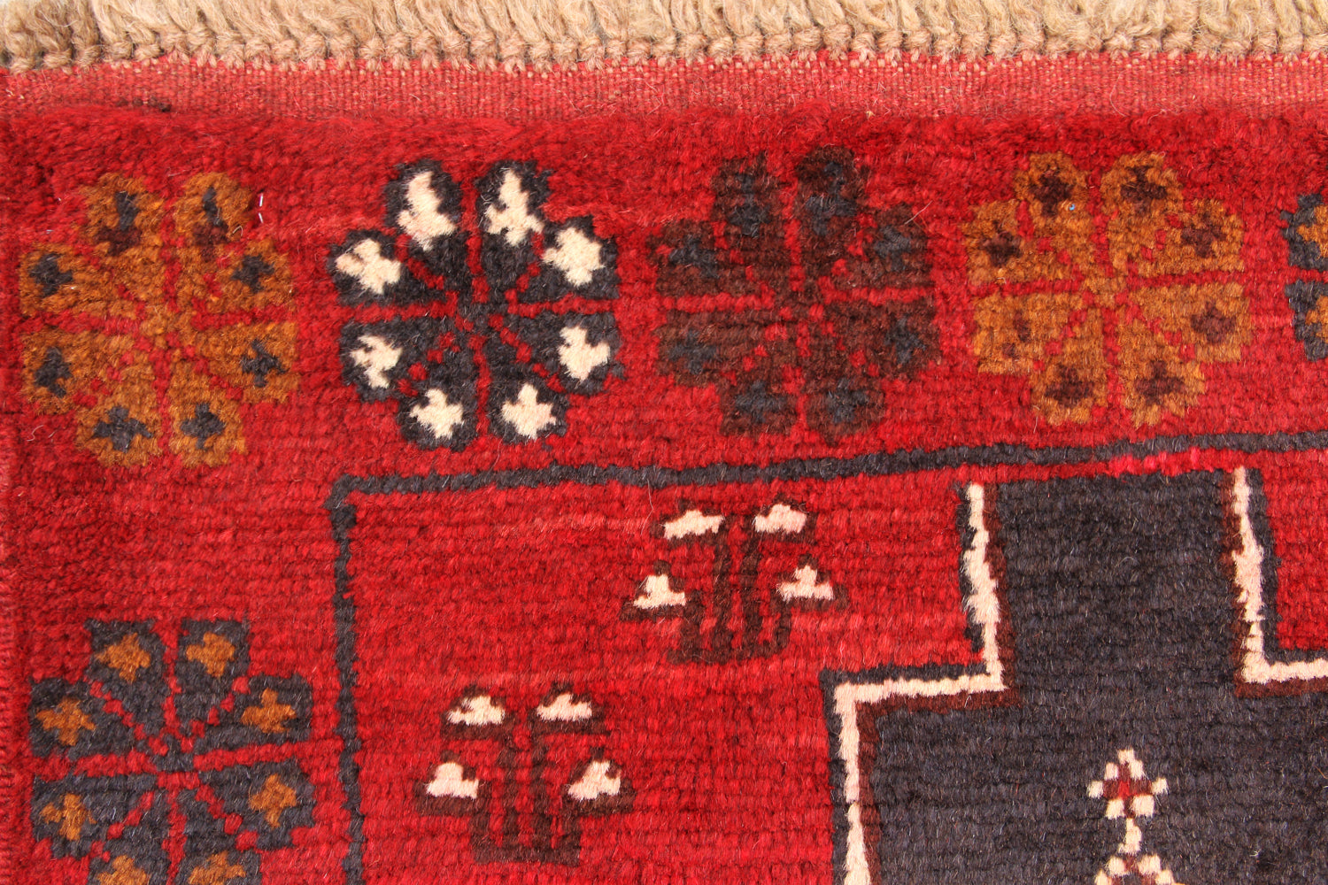SHINDANDI BALUCHI