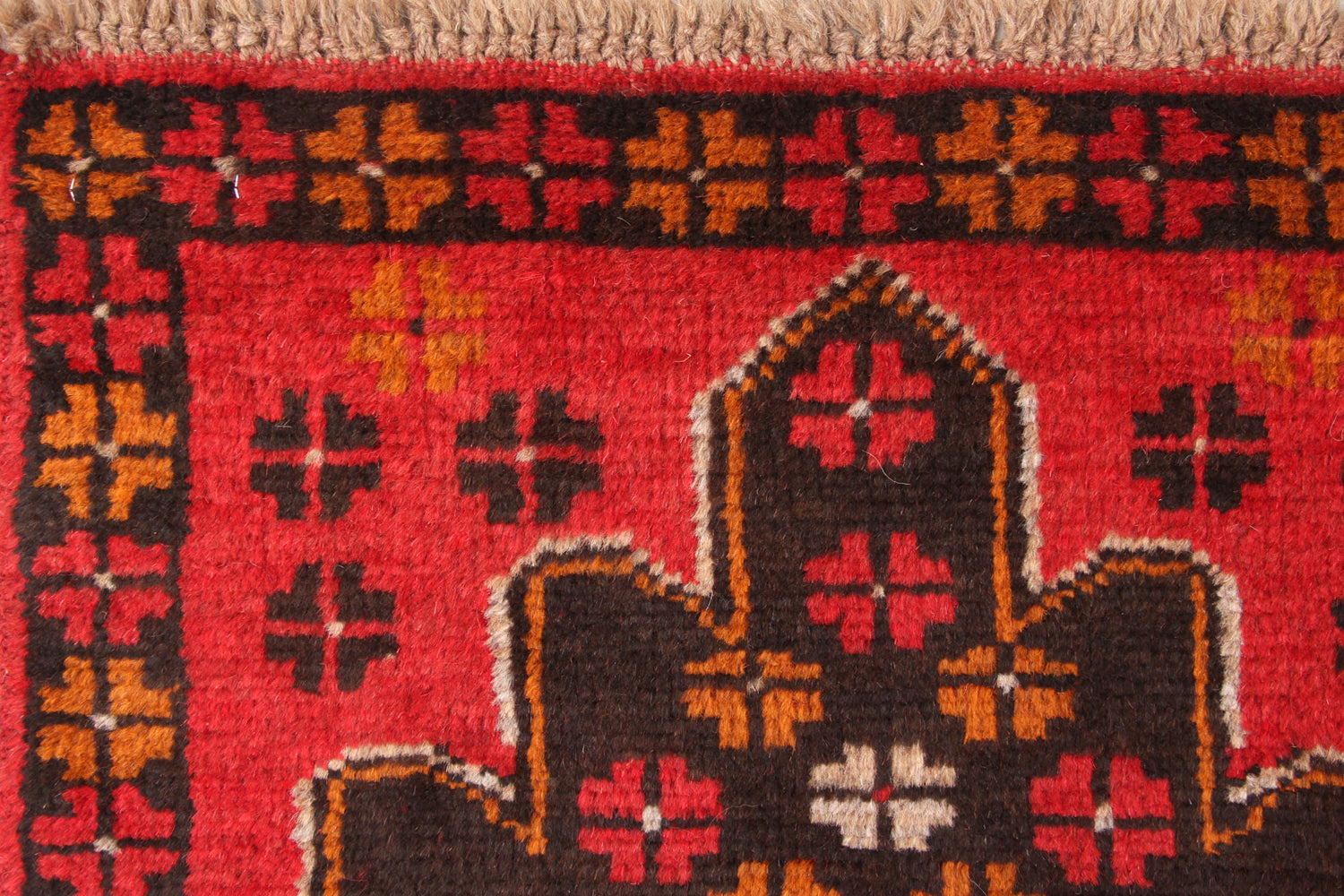 SHINDANDI BALUCHI