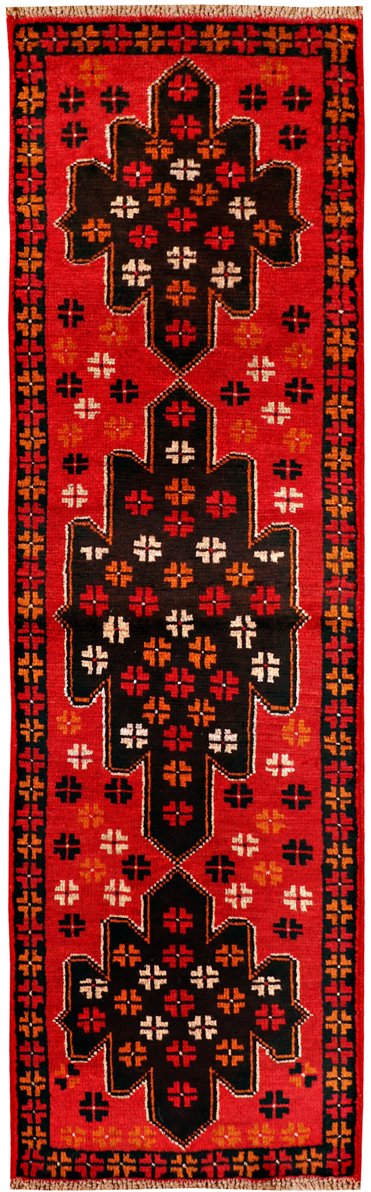 SHINDANDI BALUCHI