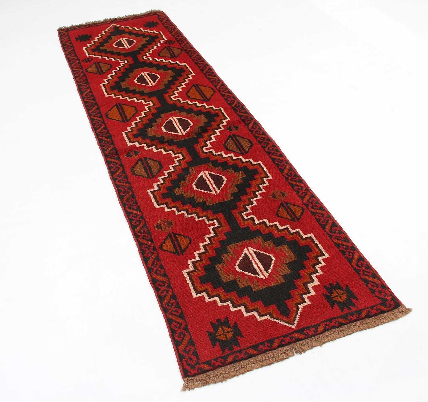 SHINDANDI BALUCHI