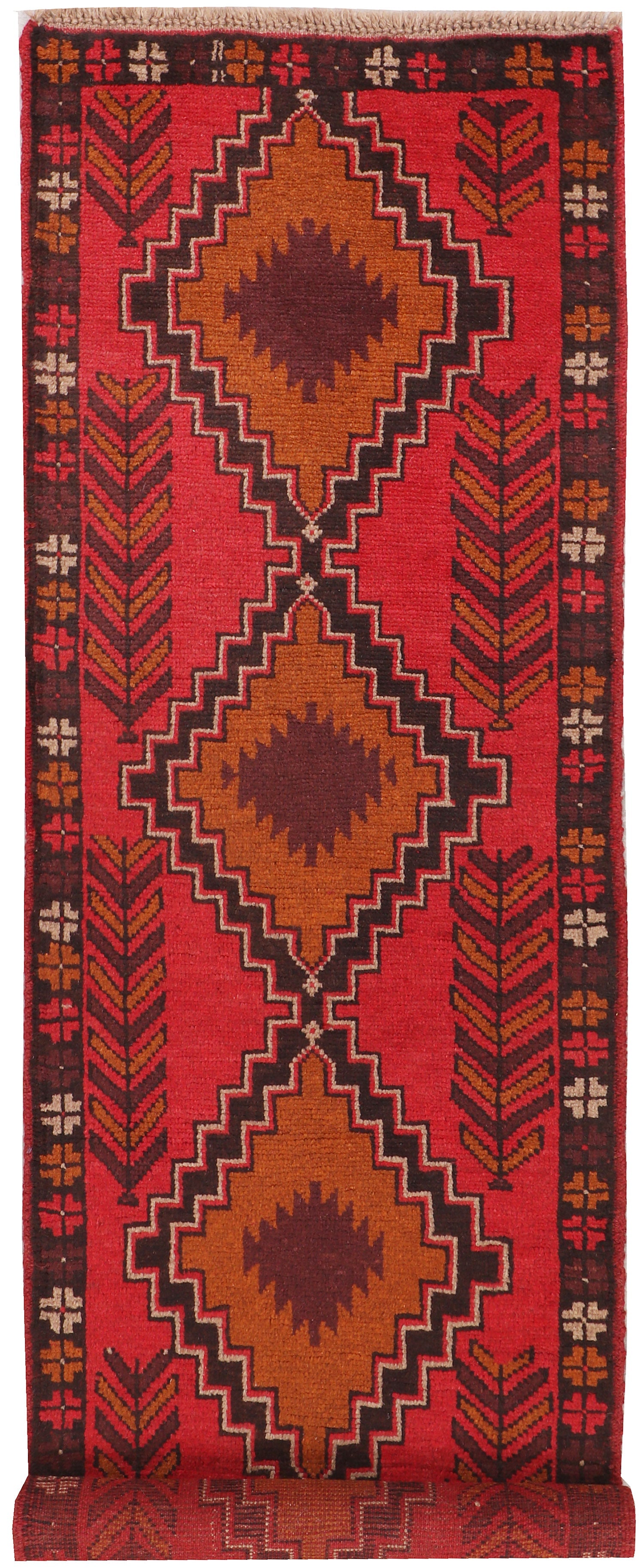 SHINDANDI BALUCHI