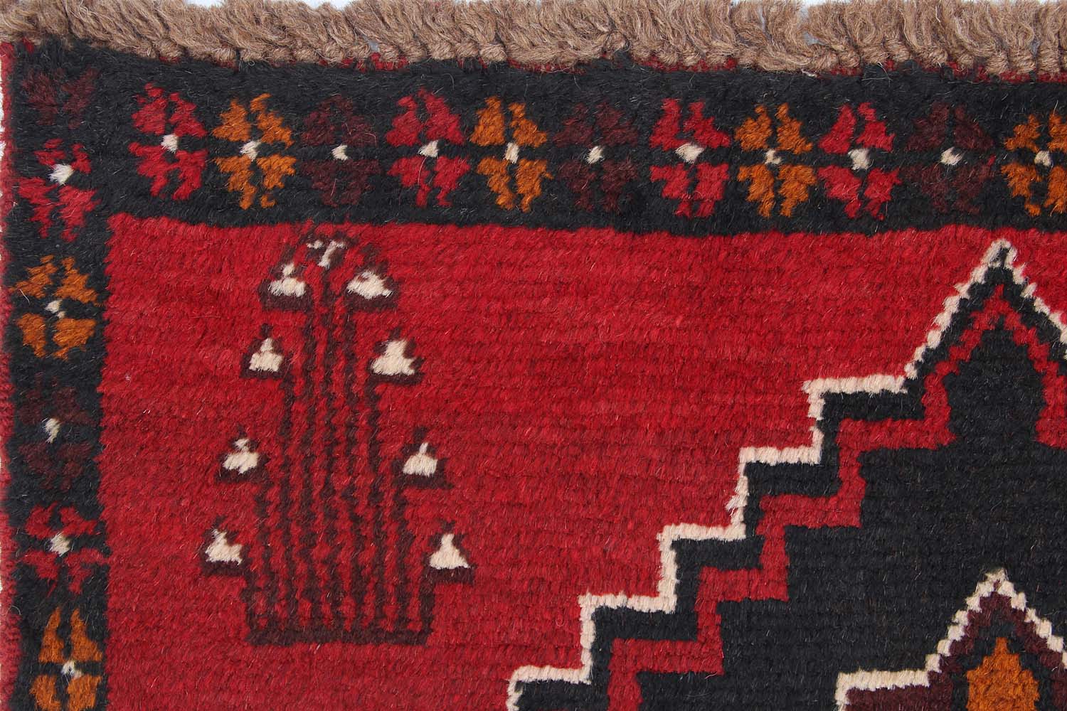 SHINDANDI BALUCHI