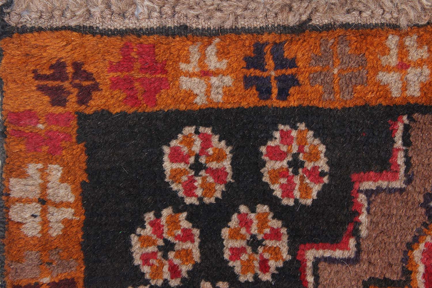 SHINDANDI BALUCHI