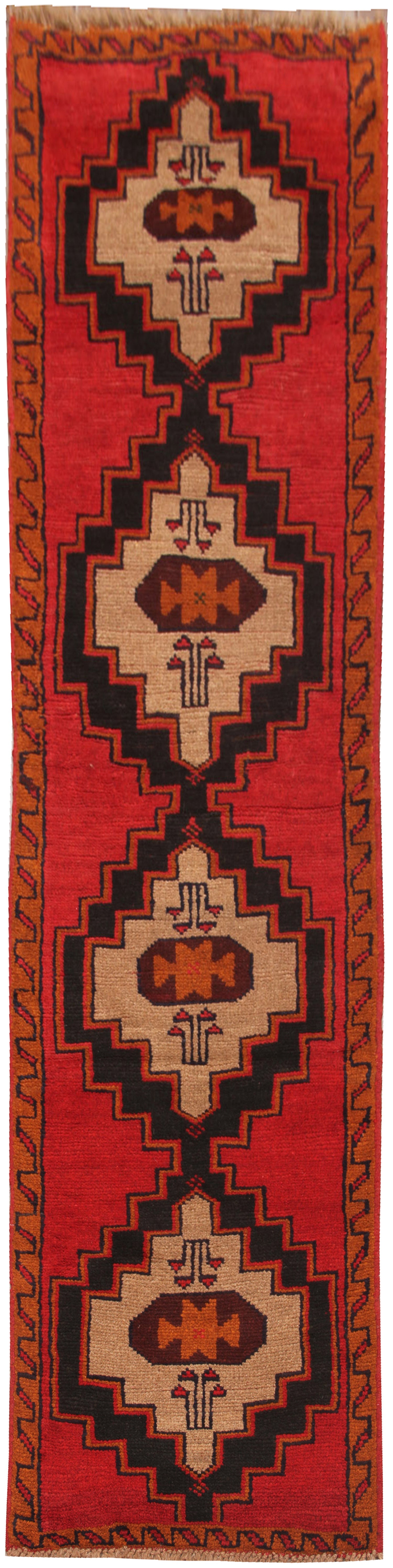 SHINDANDI BALUCHI