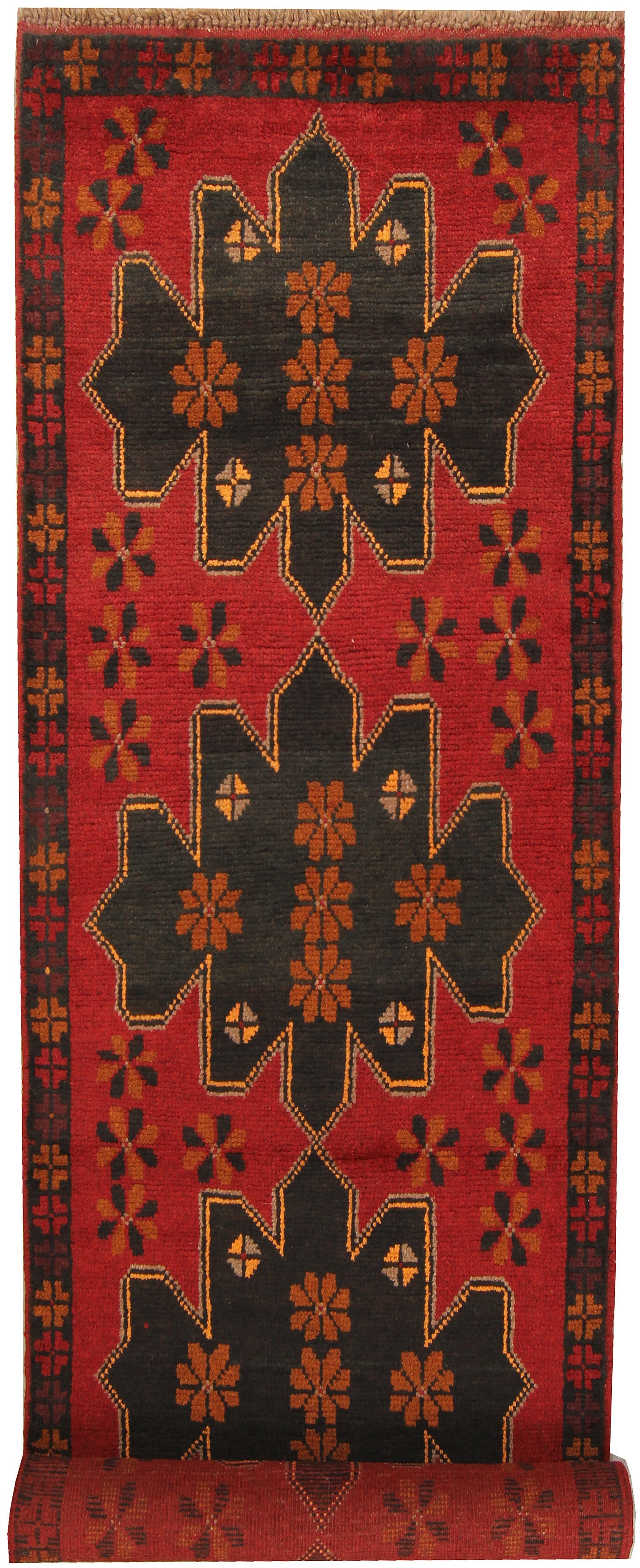 SHINDANDI BALUCHI