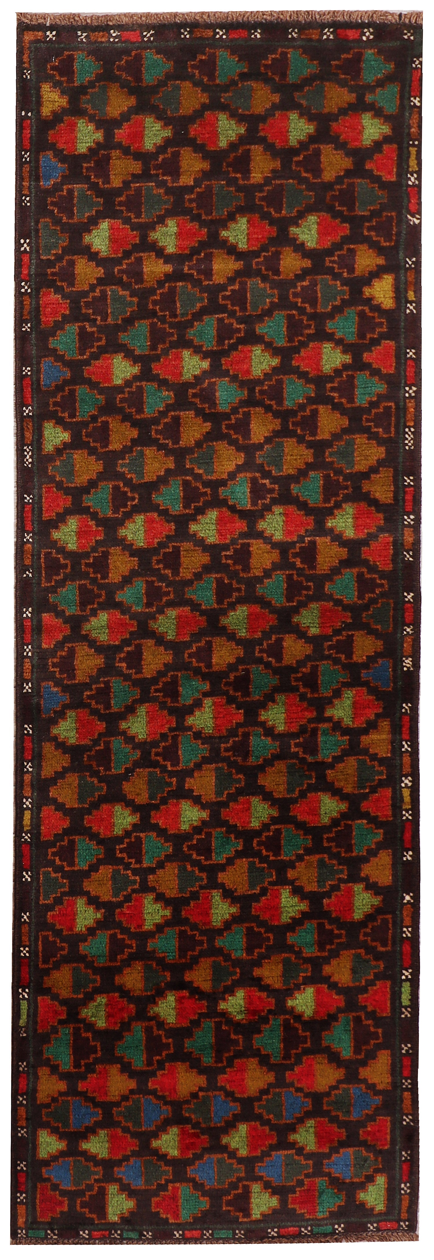 SHINDANDI BALUCHI