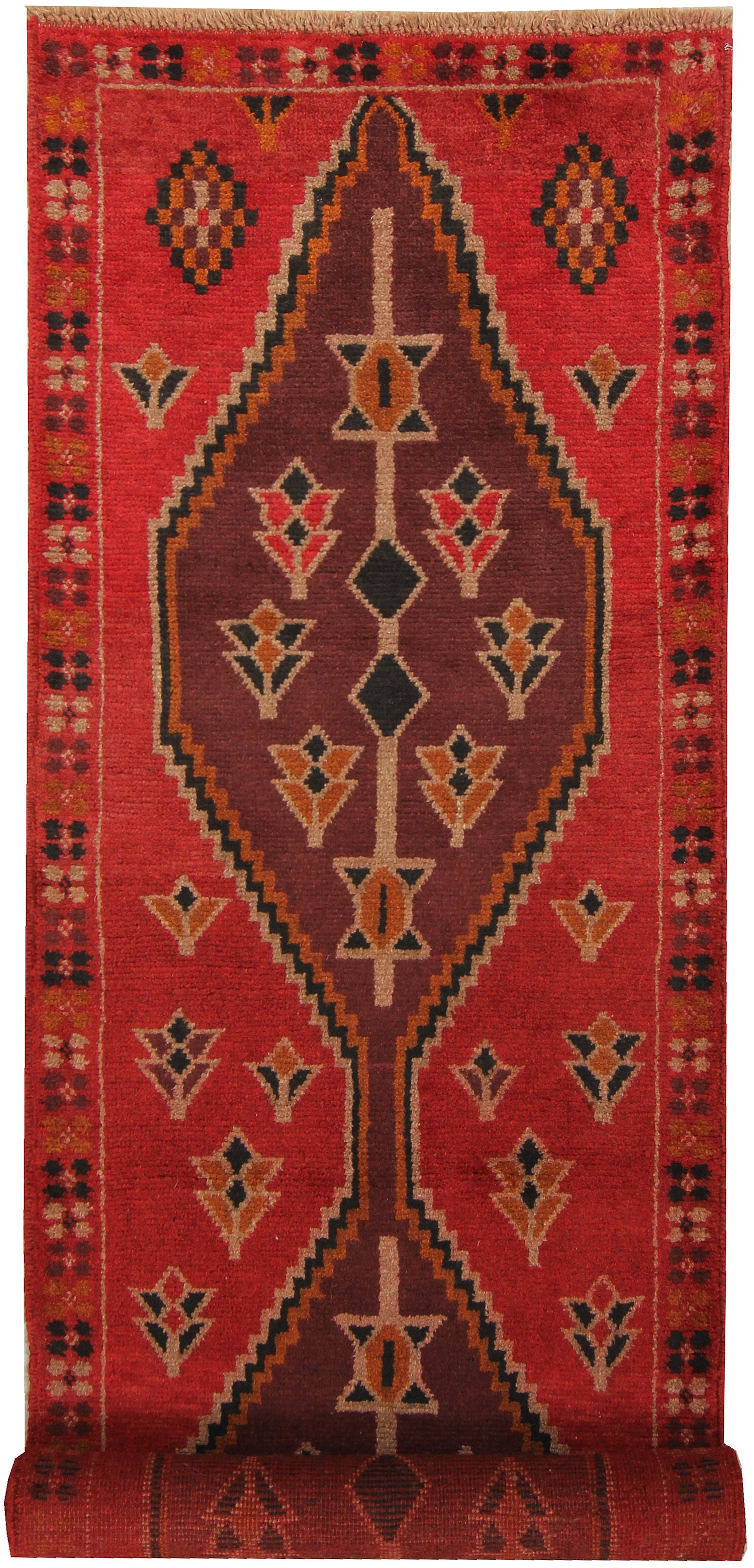 SHINDANDI BALUCHI
