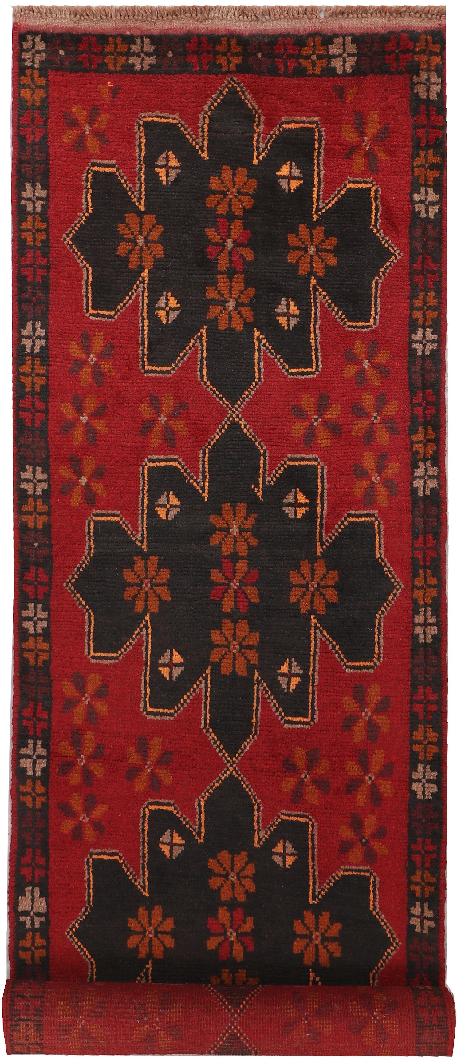 SHINDANDI BALUCHI