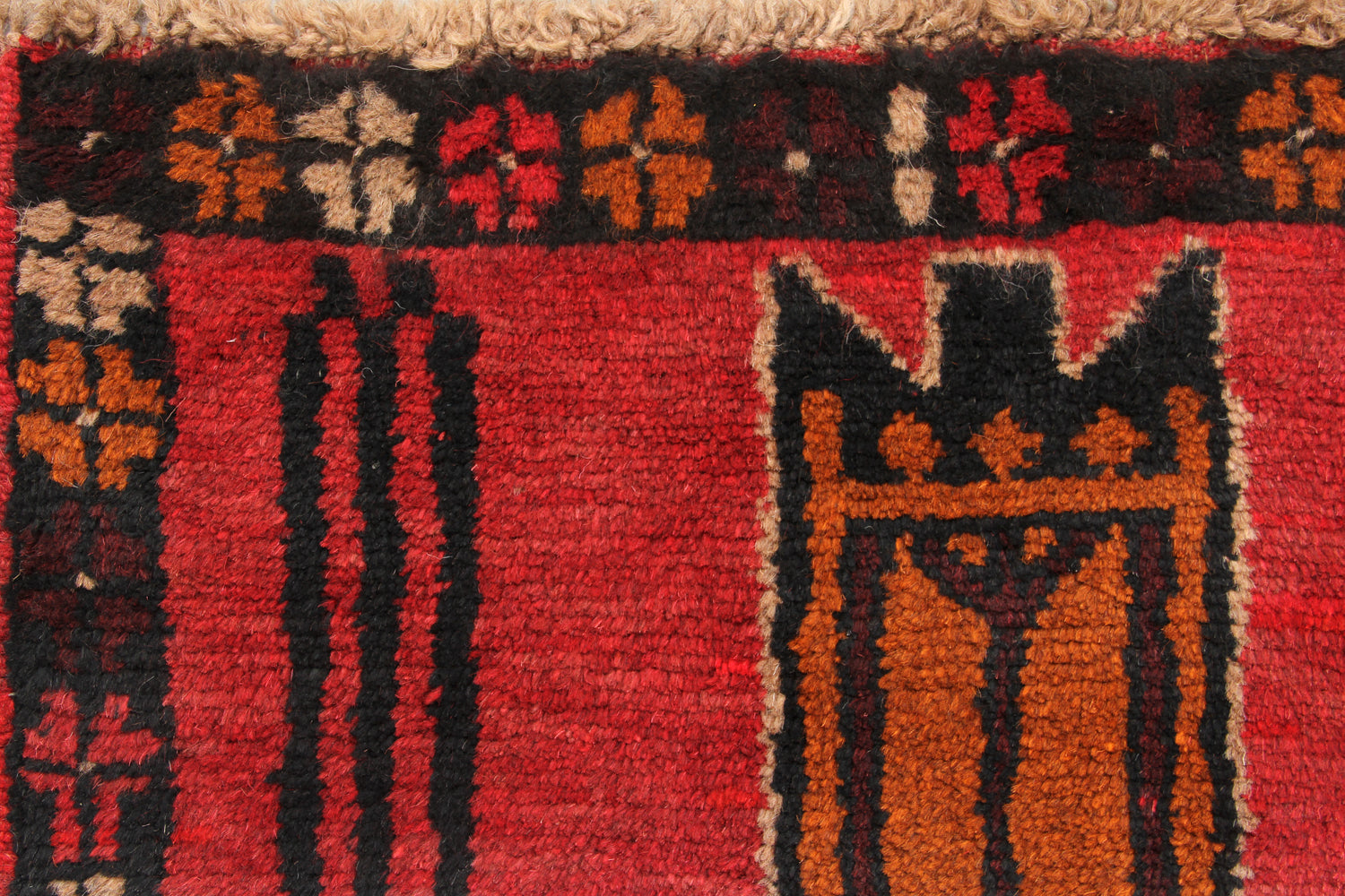SHINDANDI BALUCHI