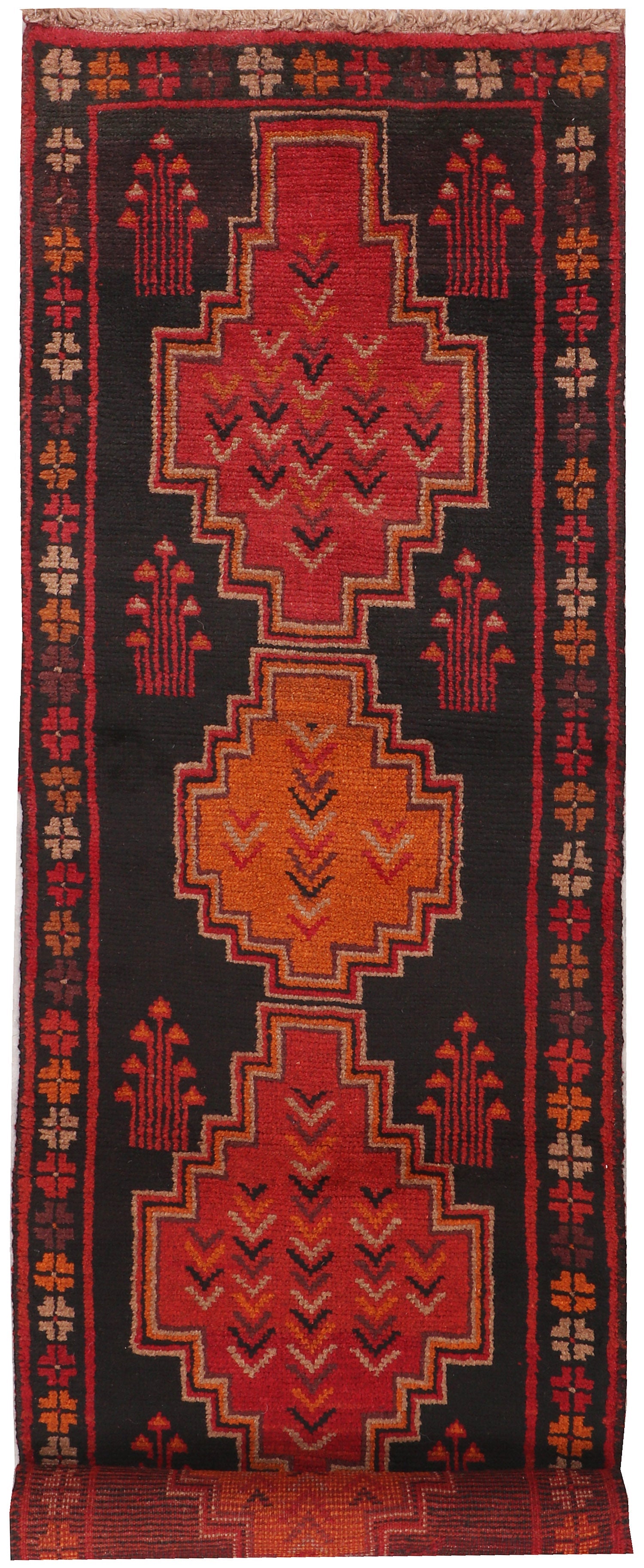 SHINDANDI BALUCHI