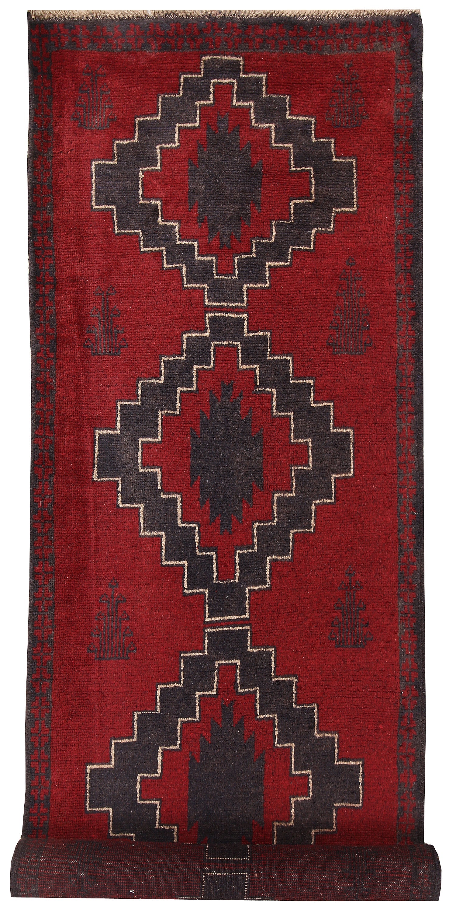 SHINDANDI BALUCHI