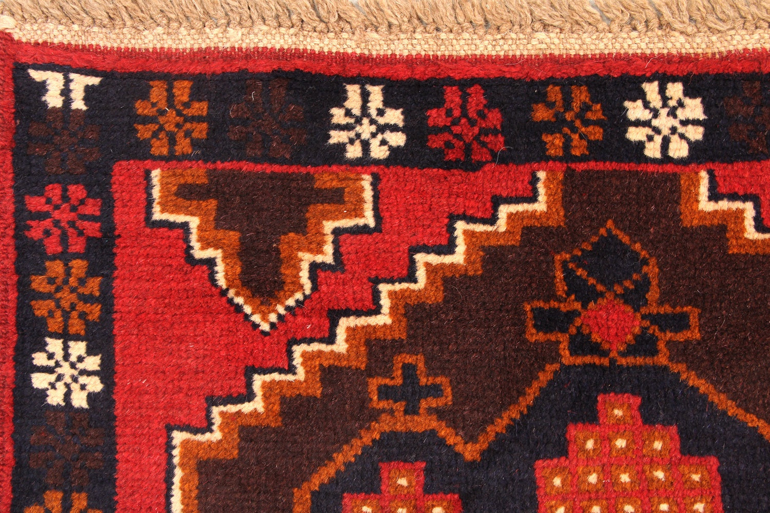 SHINDANDI BALUCHI