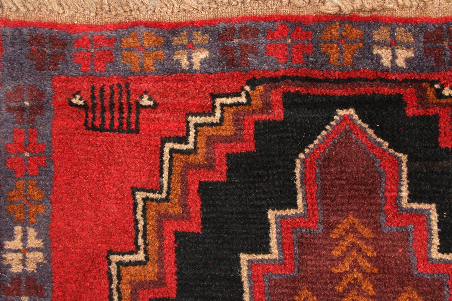 SHINDANDI BALUCHI