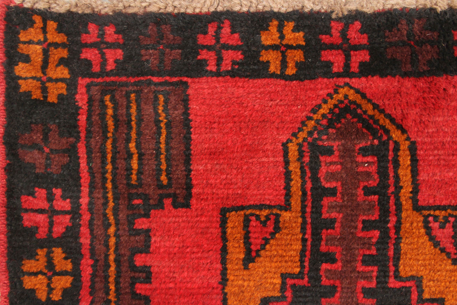 SHINDANDI BALUCHI