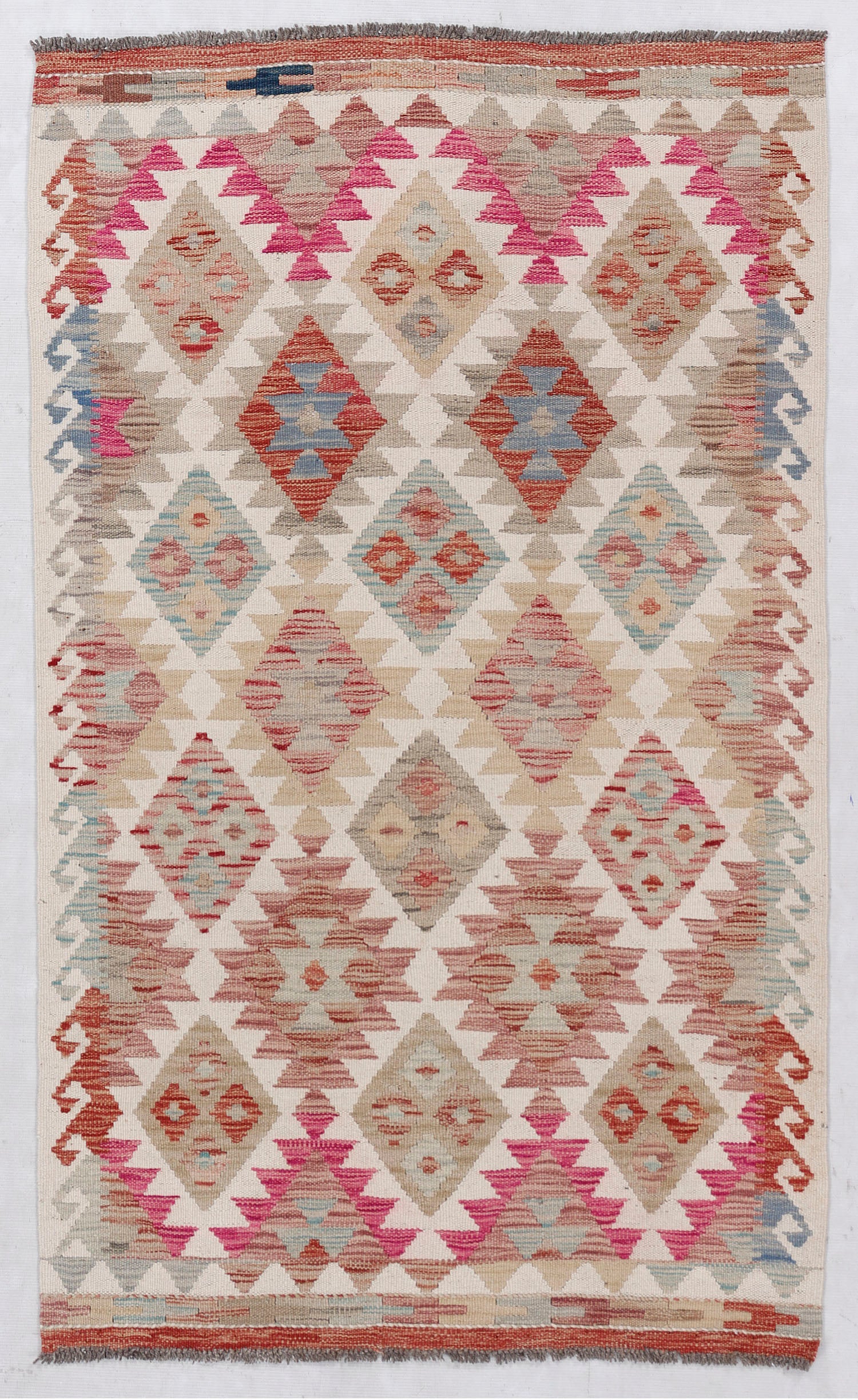 VEGGIE DYE KILIMS