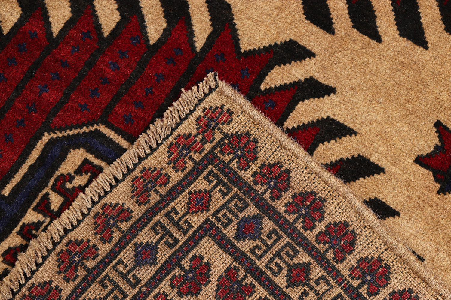 ADRASKAN BALUCHI
