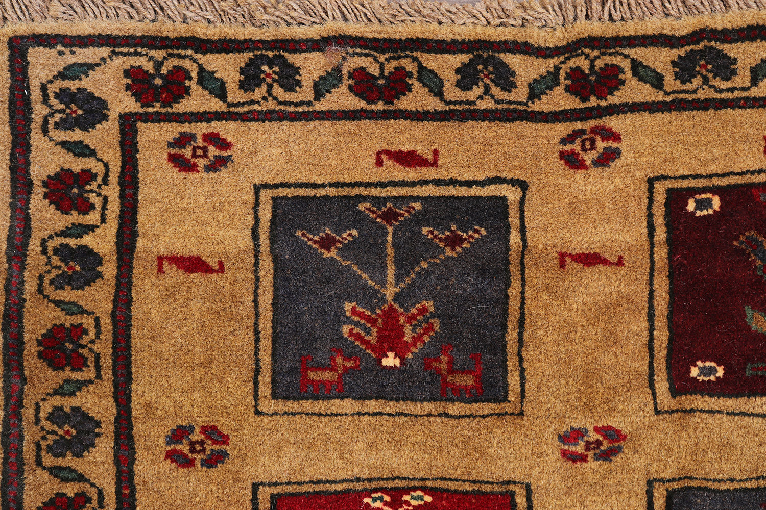 ADRASKAN BALUCHI