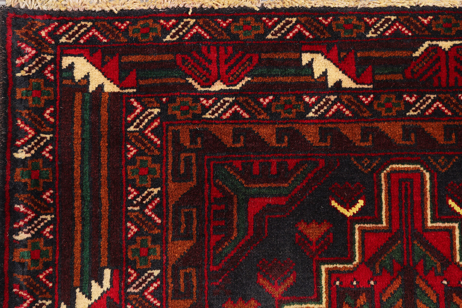 ADRASKAN BALUCHI
