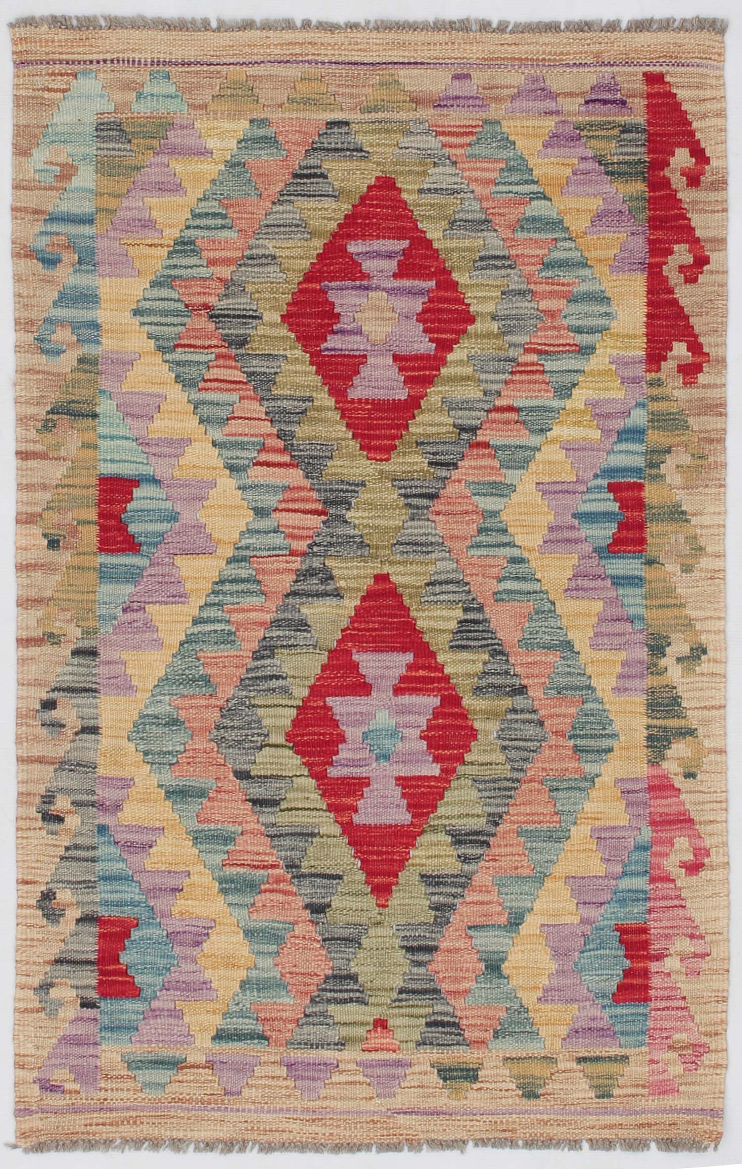 VEGGIE DYE KILIMS